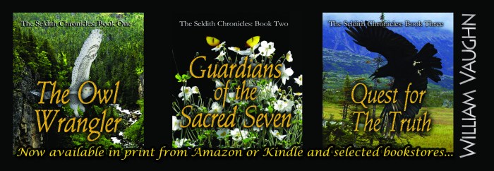 Seldith Chronicles 2x6_bookmark V4.0